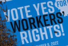 Labor Law Specialists in Illinois