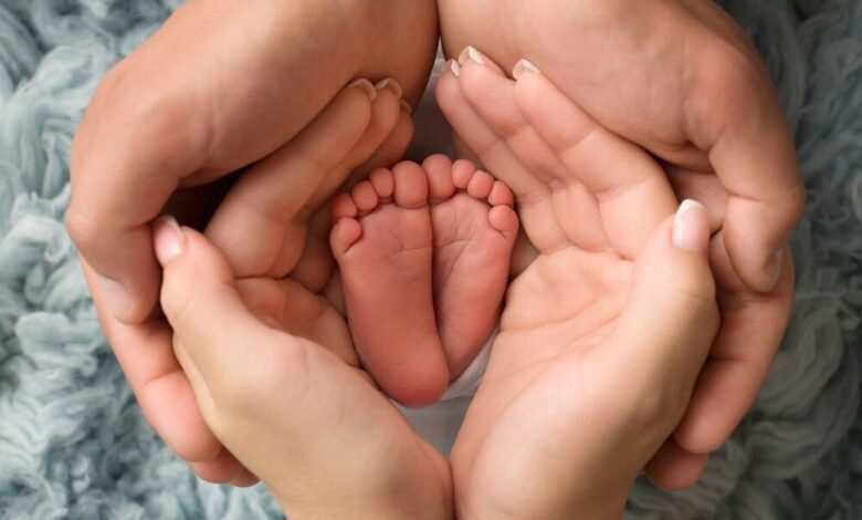Surrogacy Law Experts in Iowa